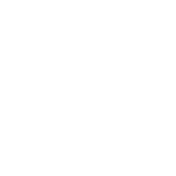 ngk ceramics logo