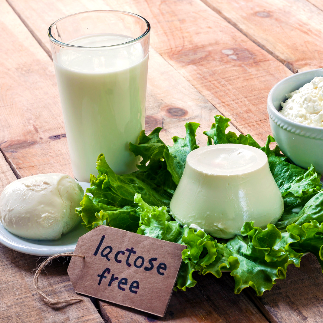 lactose friendly foods for food intolerance nutrition