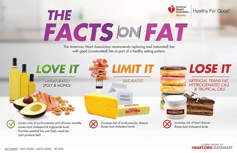 facts on fat graphic