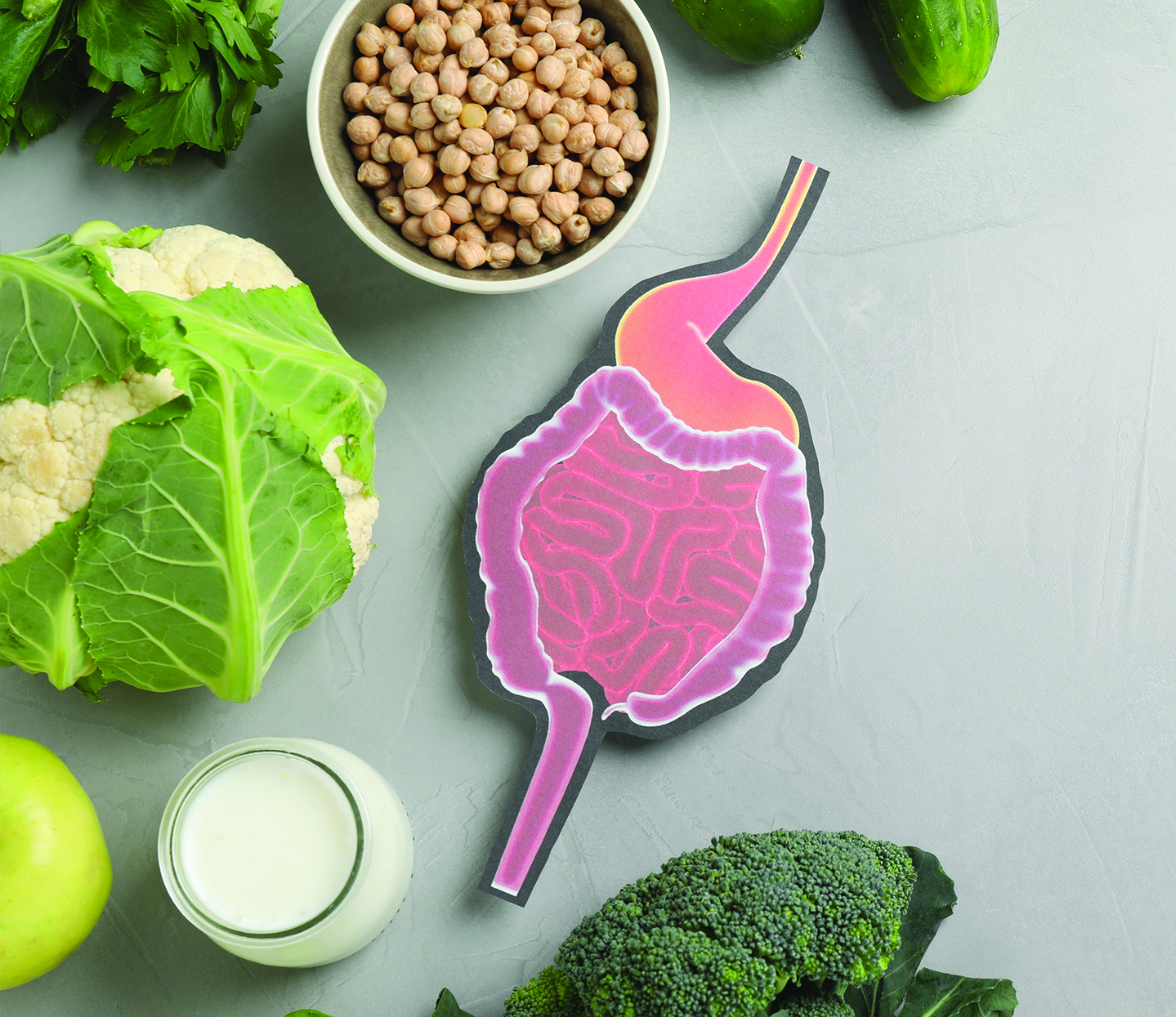 Gastrointestional nutrition stomach vegetables gastrointestinal elements of nutrition gastric track and vegetables