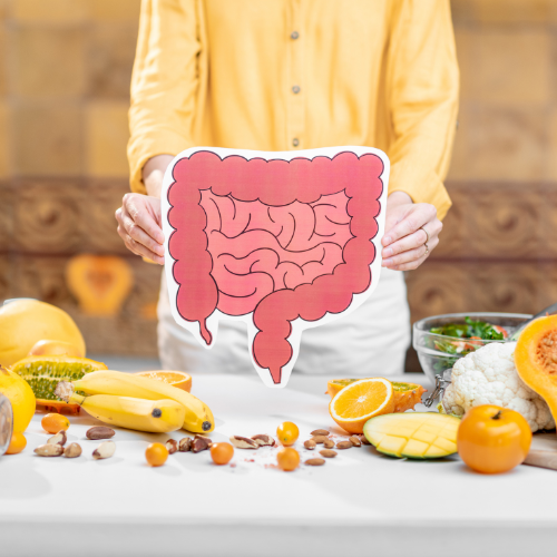 human digestive tract outlined with healthy foods human digestive tract outlined with healthy foods